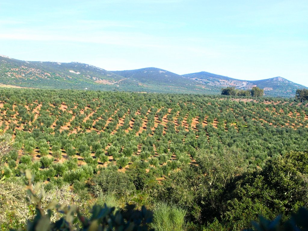 Extremadura