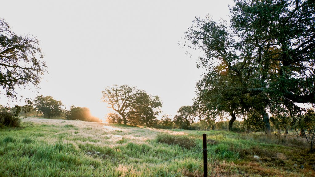 Sierra del Oro