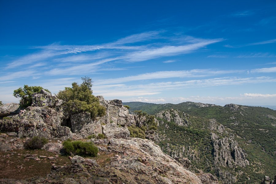 Sierra Morena, famosa riserva di caccia dell'Andalusia