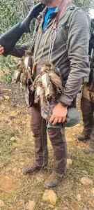Cacciatore internazionale in una giornata di caccia al tordo con la Sierra del Oro