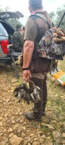 Cacciatore internazionale in una giornata di caccia al tordo con la Sierra del Oro